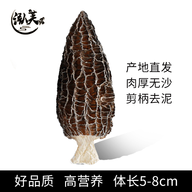 湖南金芙農業(yè)科技有限公司,湖南蛹蟲草,湖南羊肚菌,蛹蟲草,羊肚菌,龍新,蟲草酒哪里好,衡陽食用菌,衡陽羊肚菌,衡陽蛹蟲草